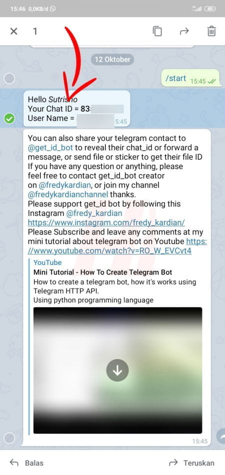 Get any telegram id bot. Get any telegram id bot