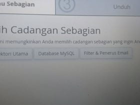 Cara Backup Website Lewat cPanel Tanpa Ribet