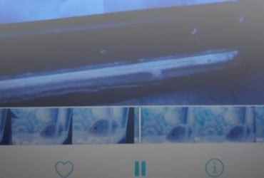 Cara Pause Video di iPhone Saat Diputar di Aplikasi Foto