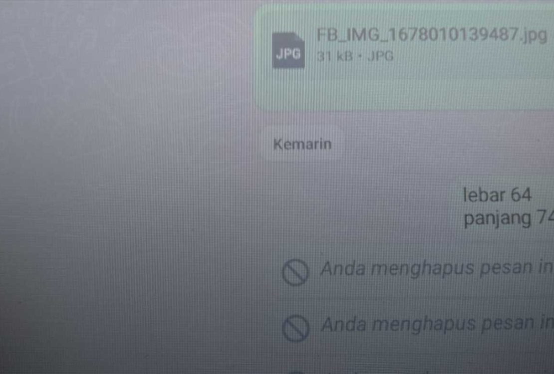 Cara Menghilangkan Anda Telah Menghapus Pesan Ini di WhatsApp