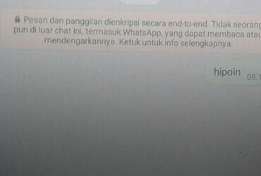 Penyebab WhatsApp Seseorang Centang 1 Tapi Berdering Saat Ditelpon