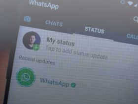 5 Cara Mengatasi Tidak Bisa Buat Status WhatsApp Padahal Internet Lancar