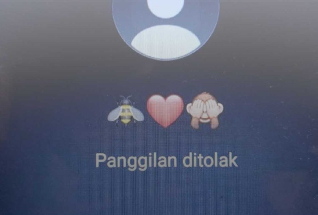 5 Faktor Penyebab Panggilan Ditolak di WhatsApp Saat Menghubungi Seseorang