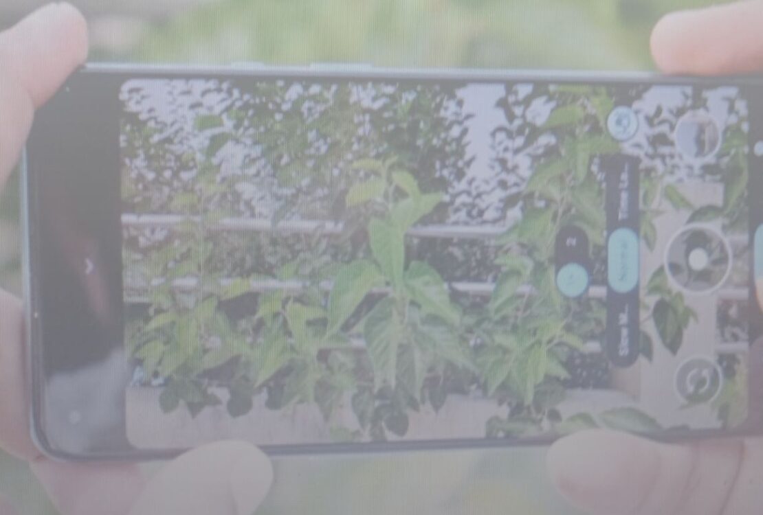 5 Cara Mengatasi GCam Tidak Bisa Merekam Video Selalu Keluar Sendiri